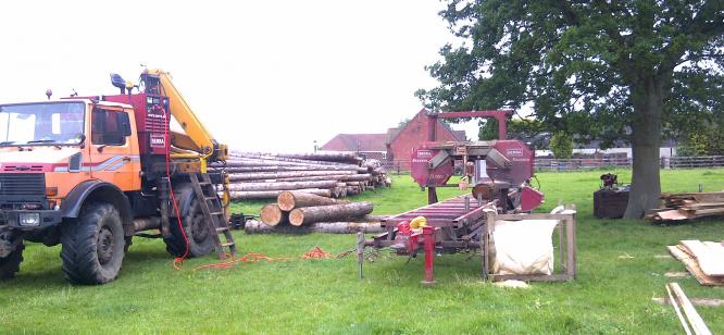 Oxfordshire, cutting Douglas for large barn