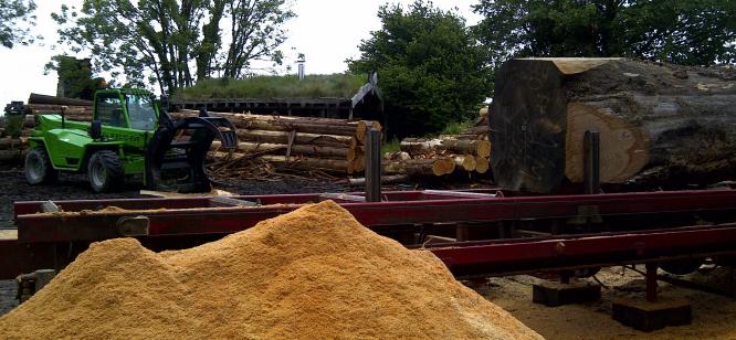 Contract milling at Crocadon sawmill for Mike Mann