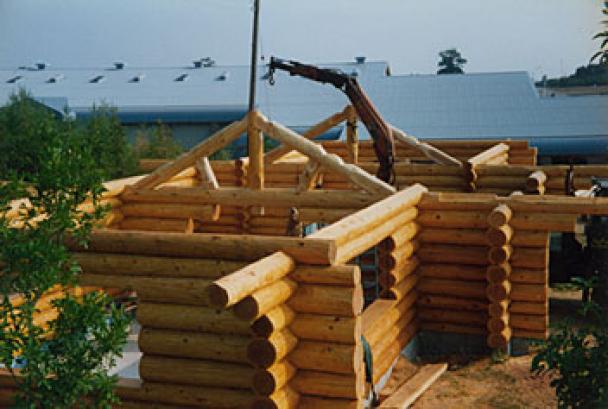 Forestry Pavilion Devon Show Ground  Image