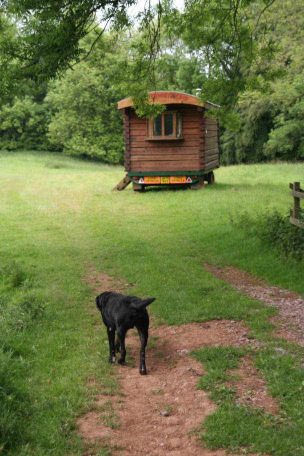 Log wagon  Image